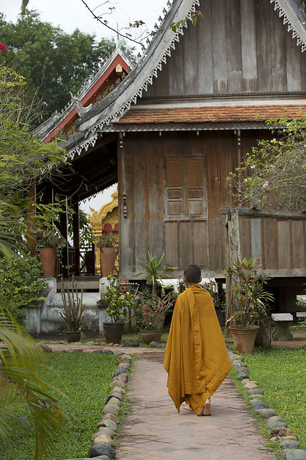 Moine dans un temple de Luang Prabang