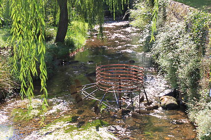 Le soleil joue dans l'eau