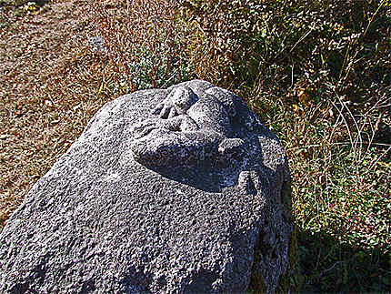 Une salamandre dans la pierre