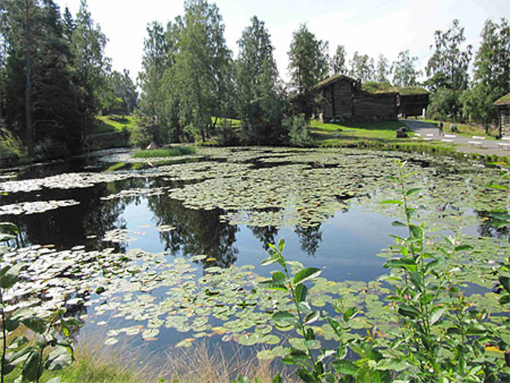 Musée Maihaugen