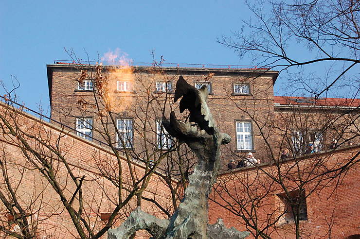 Zamek (château) de Wawel