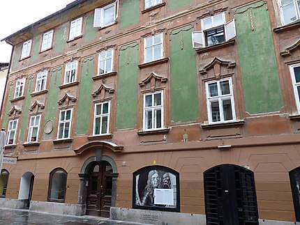 Immeuble ancien à Ljubljana
