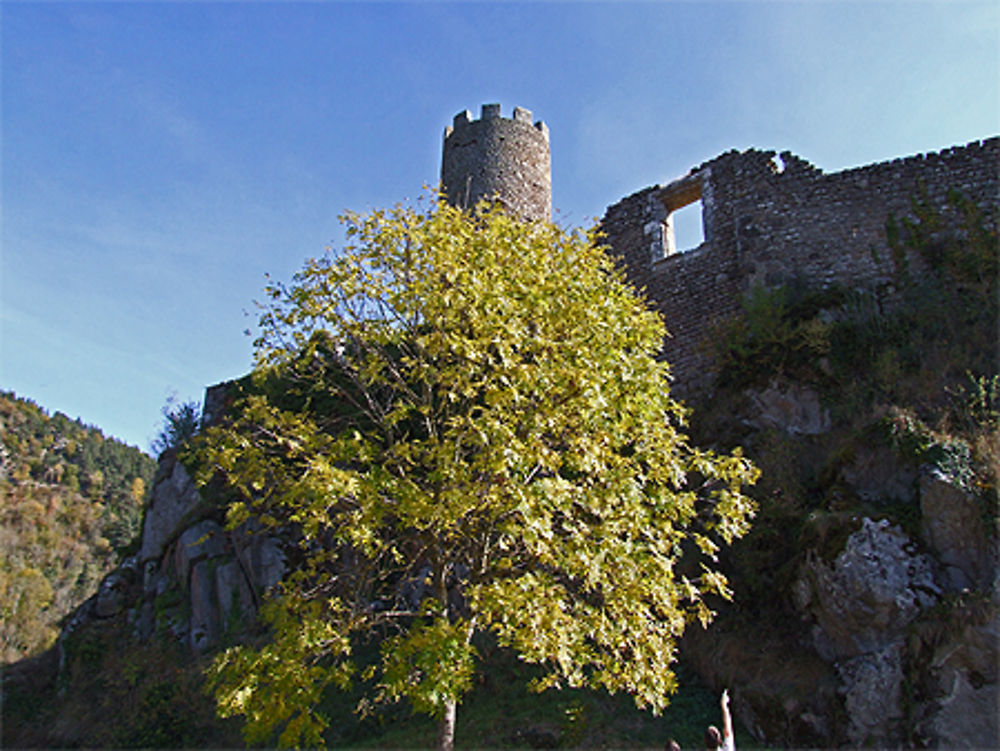 La tour du château