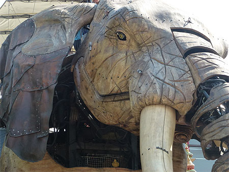 Tête d'éléphant Tête d'éléphant