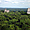 Les temples de Tikal
