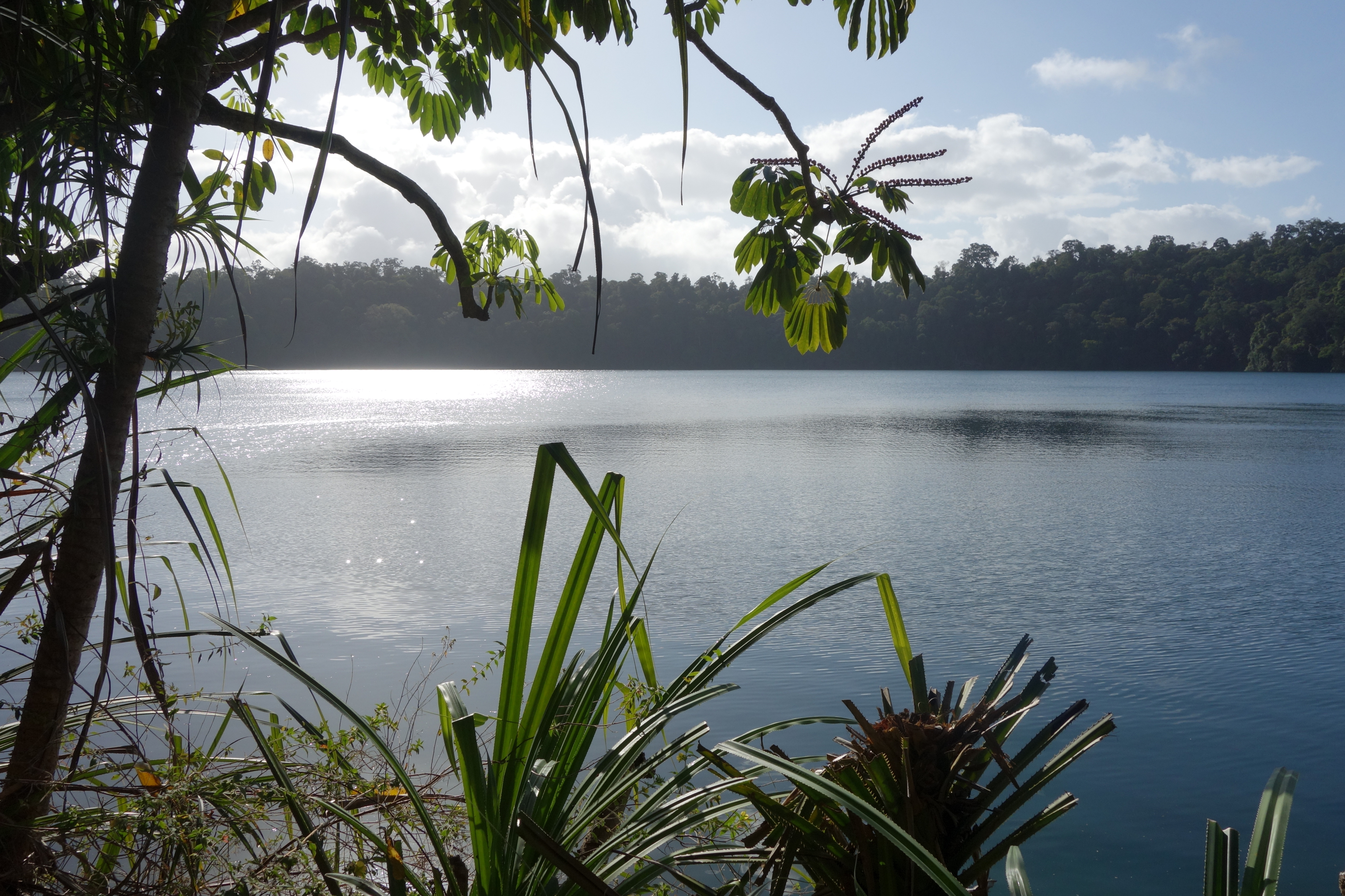 Calme au lac Eacham Calme au lac Eacham
