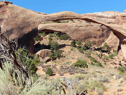 Landscape Arch