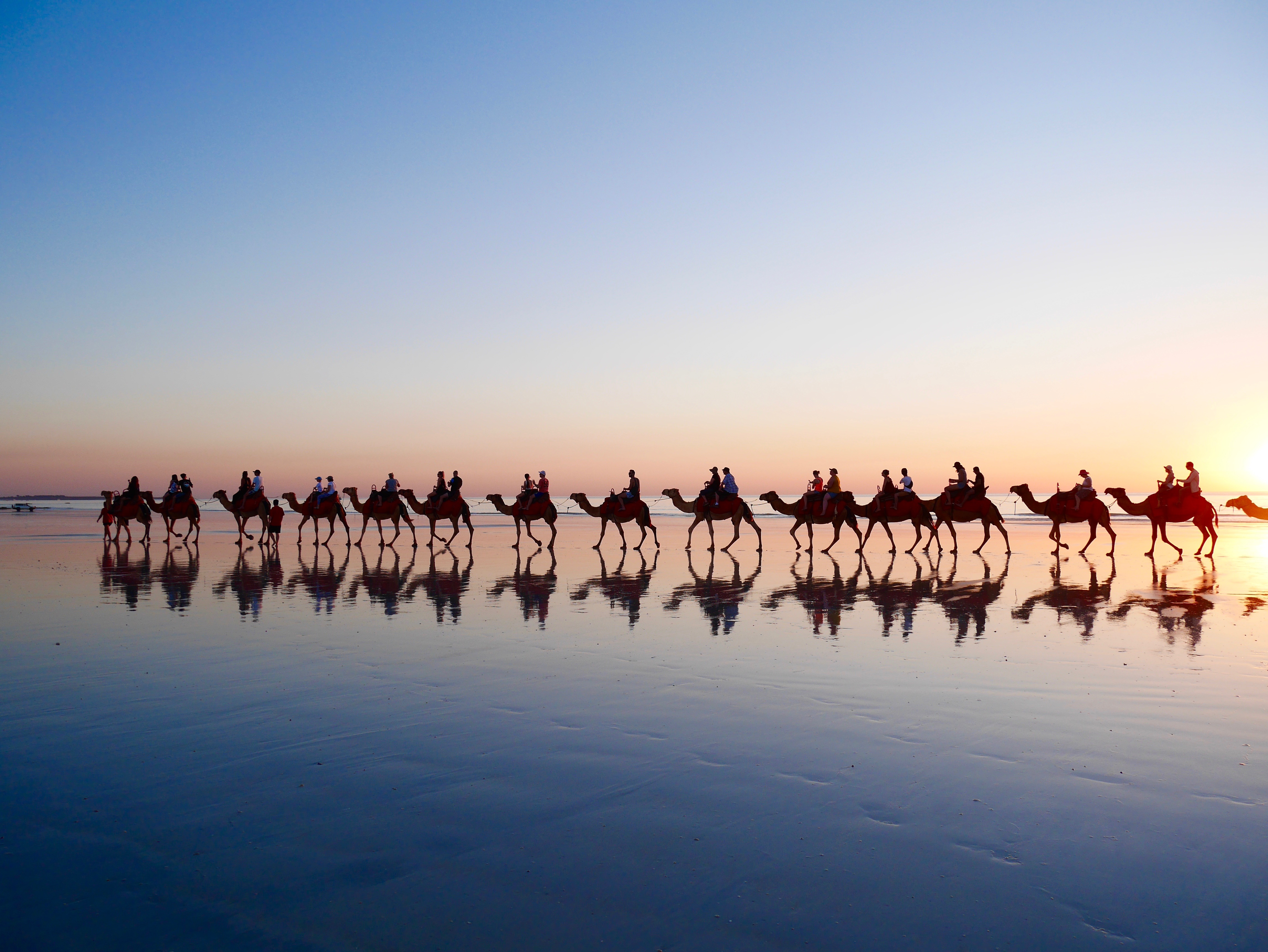 Les dromadaires de Cable Beach Les dromadaires de Cable Beach