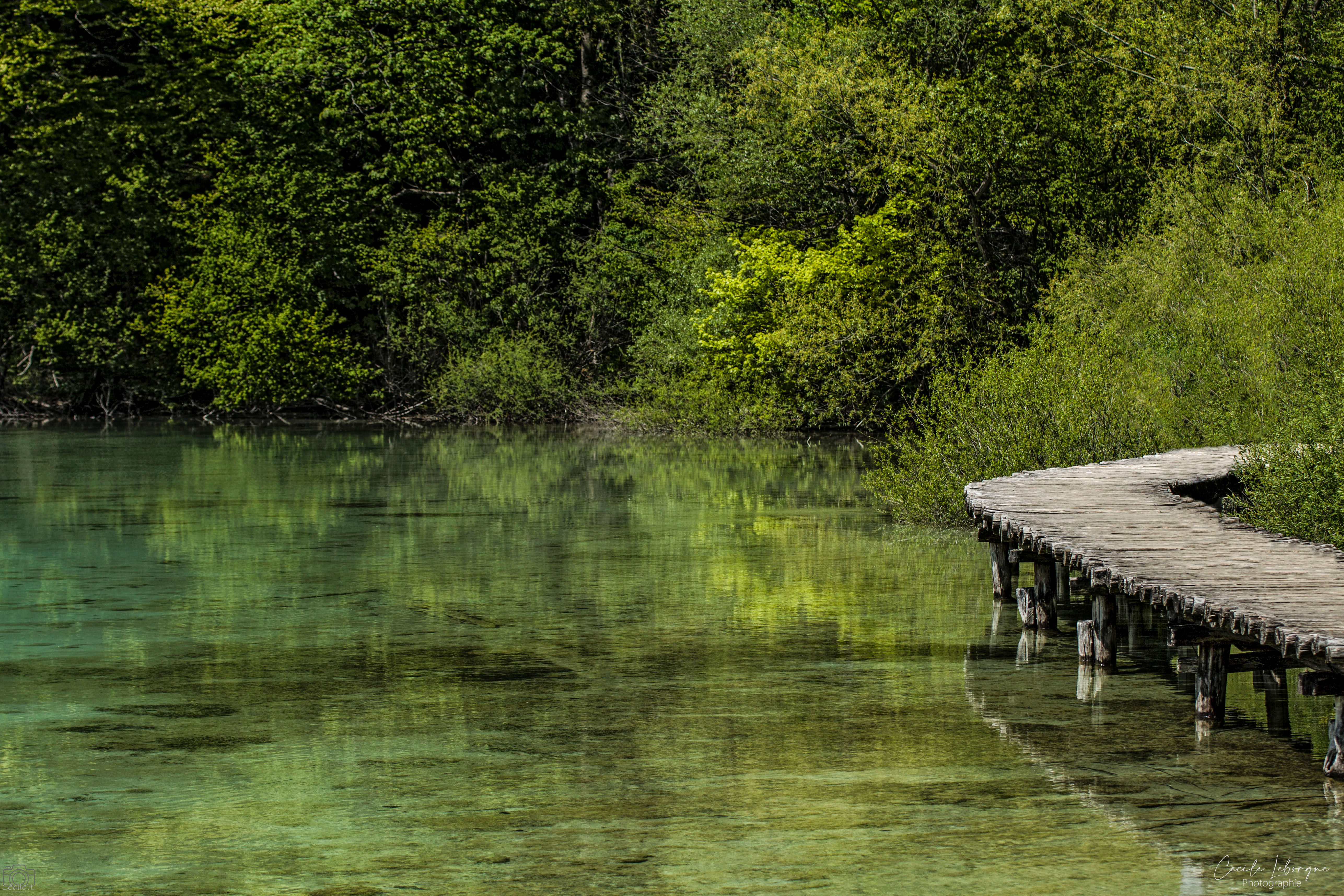 Ponton du lac de Plitvice