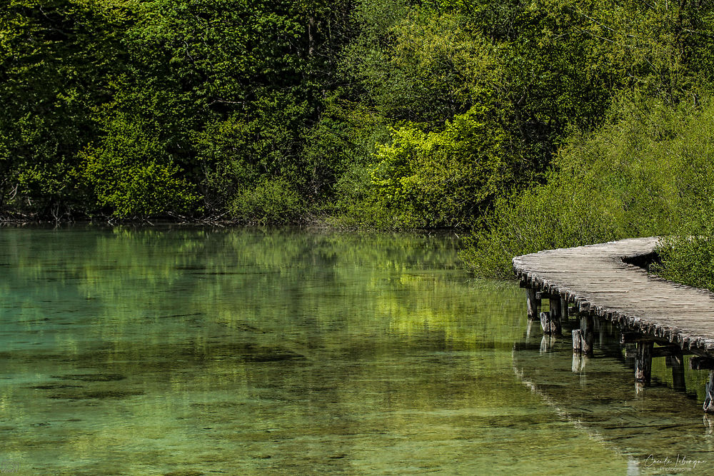 Ponton du lac de Plitvice