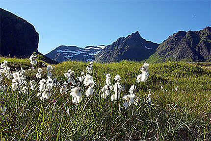 Le bout des Lofoten