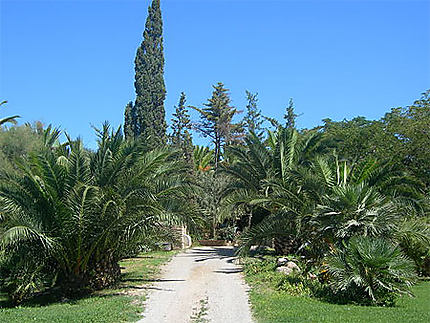 Jardin espagnol