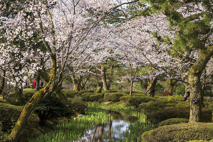 Jardin Kenroku-en à Kanazawa
