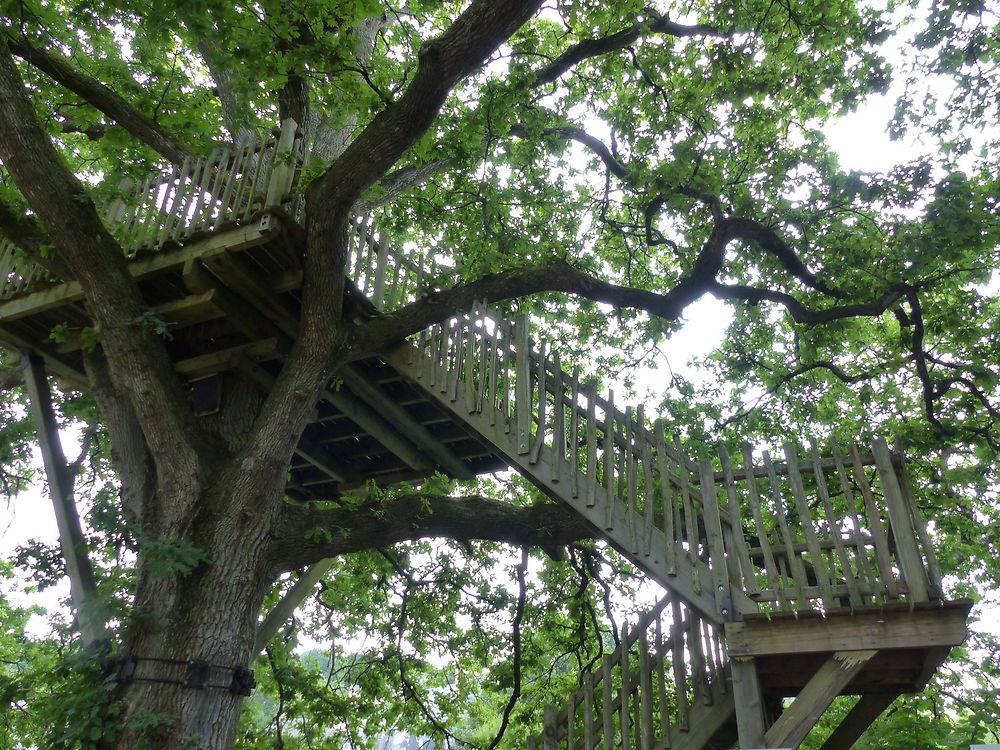 Maison dans les arbres à La Gacilly