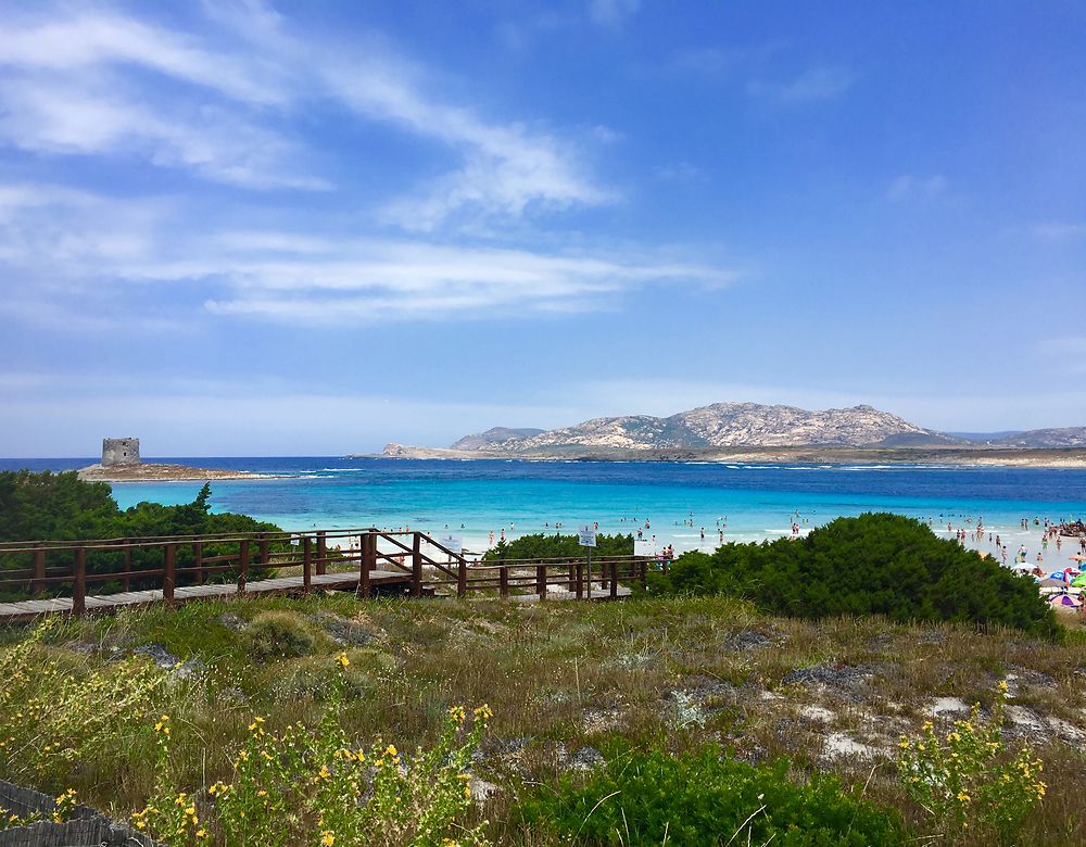 Stintino, spiaggia della pelosa