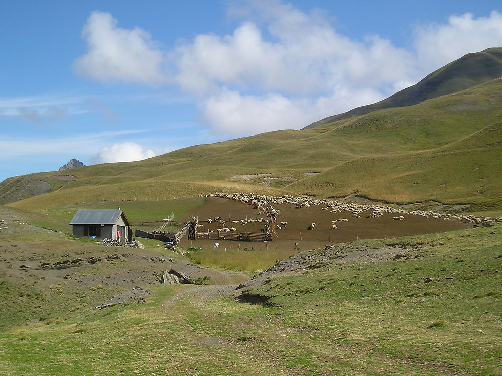 Col de Vars et le parcage des moutons