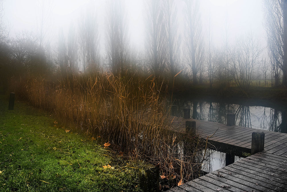 Le ponton embrumé de Dompierre-sur-Charente