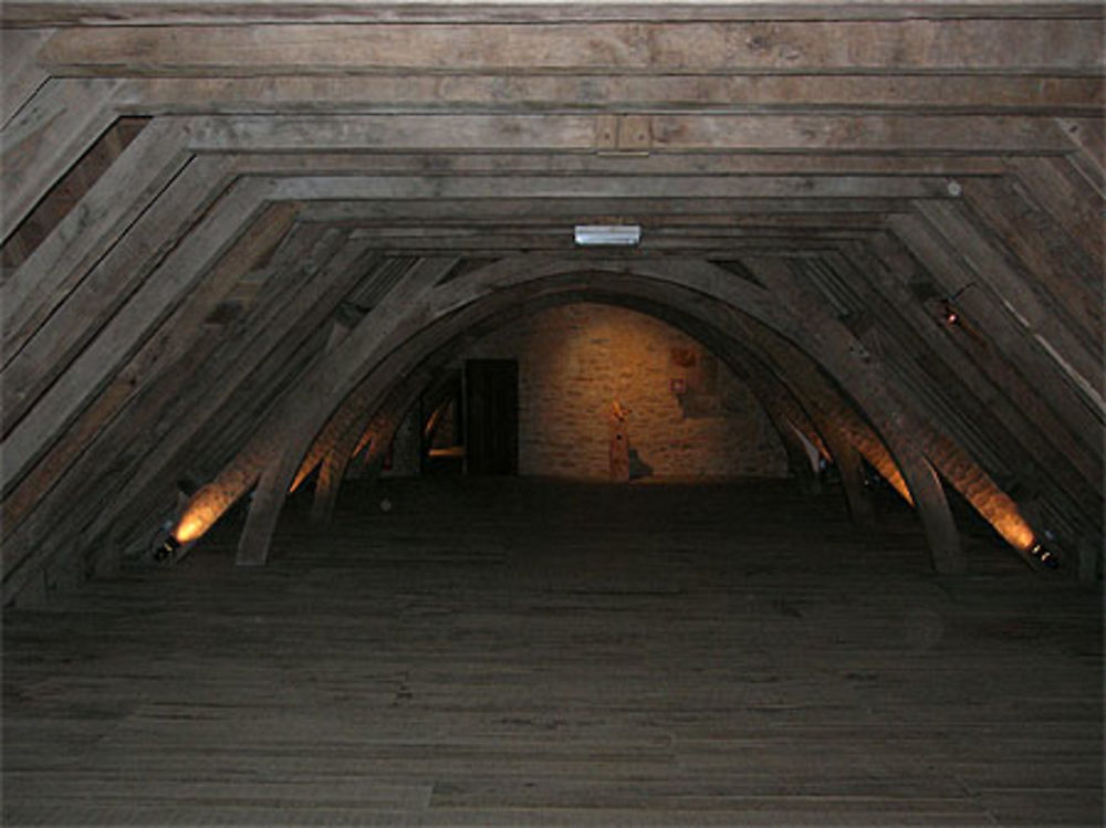 Château de La Roche-Jagu