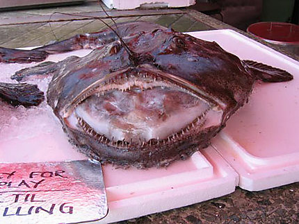 Au Fish Market