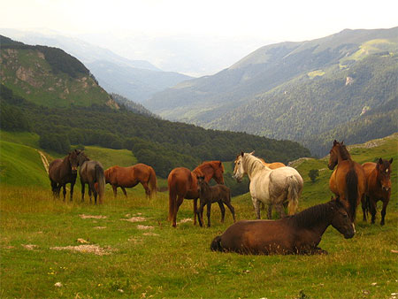 Paysages montenegrins Paysages montenegrins