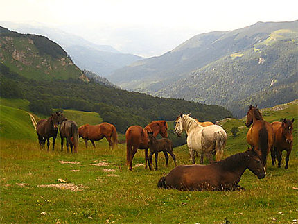 Paysages montenegrins