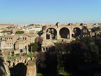 Vue du Mont Palatin à Rome