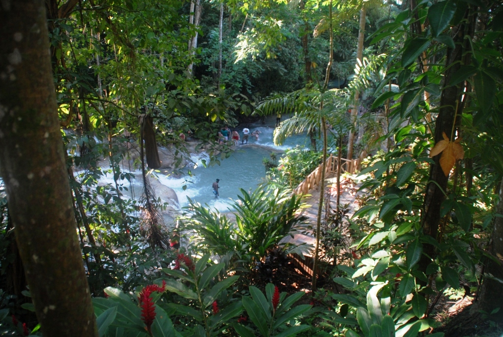 Dunn's river falls Dunn's river falls