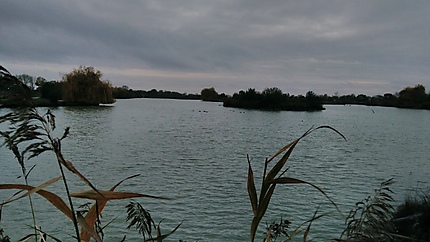Lac de Saujon