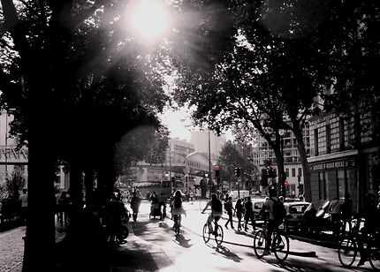 Les cyclistes, scène de rue parisienne