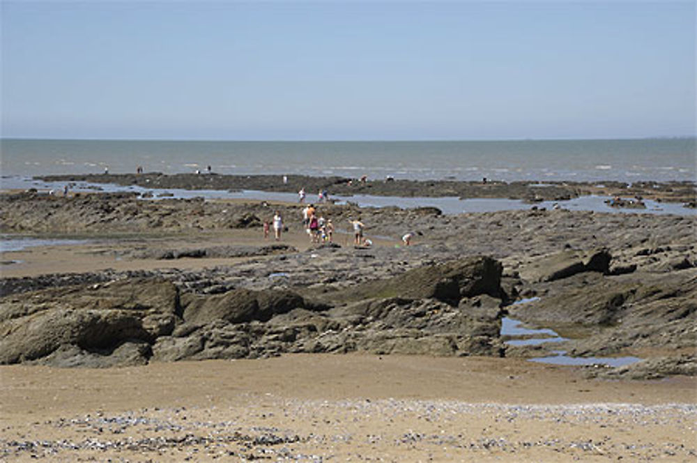 La pêche à pied