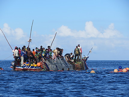 Ile de Mafia - Kilindoni - Barque de pêcheurs