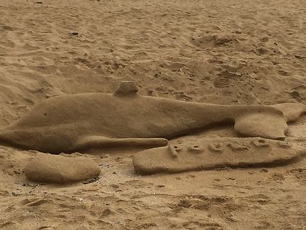 Le dauphin de sable