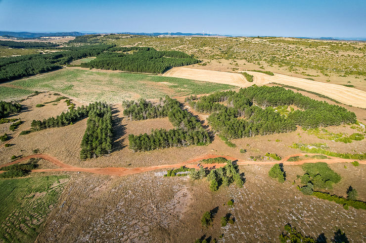 De La Cavalerie à Millau, sur les terres de la lutte paysanne (29 km)