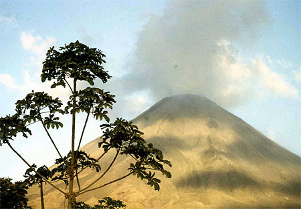 Volcan Arenal