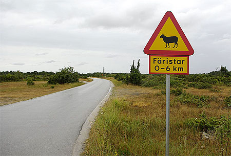 L'ile de Fårö L'ile de Fårö