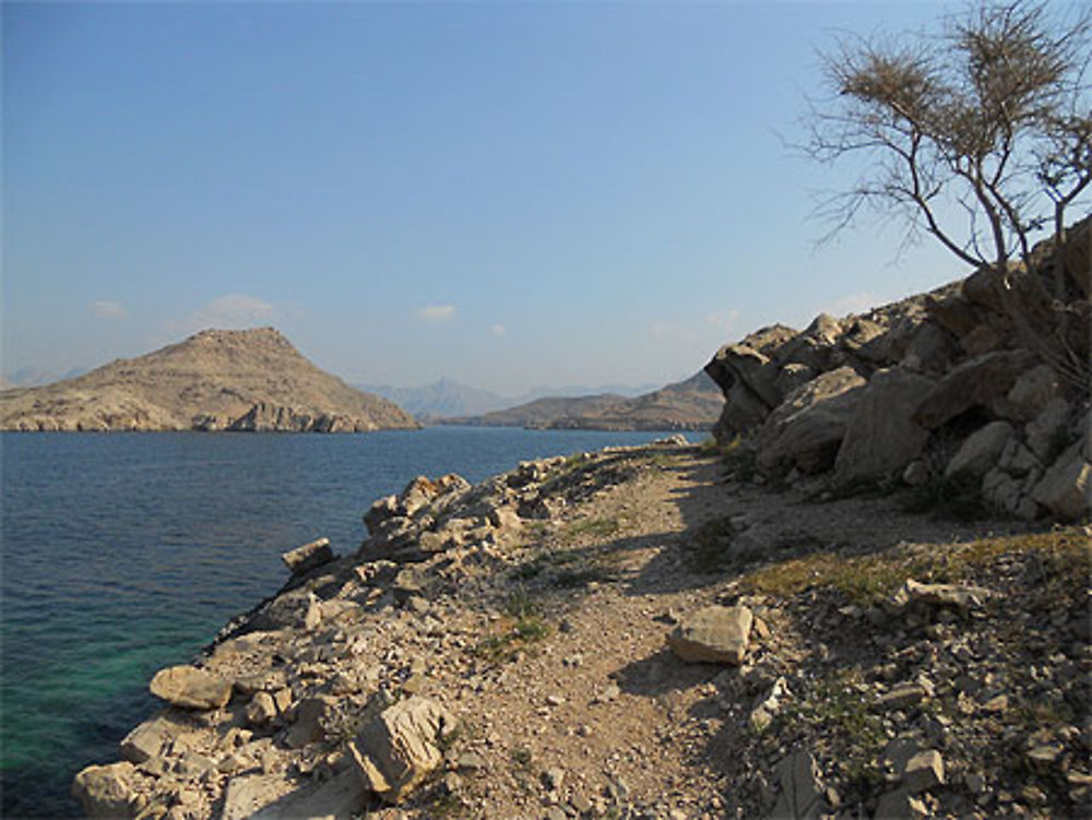 Une vue de l'île du télégraphe