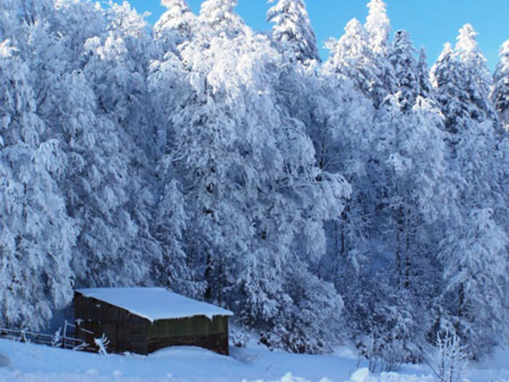 Cabane du Col du Rousset