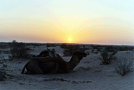 Coucher de soleil sur le Sahara