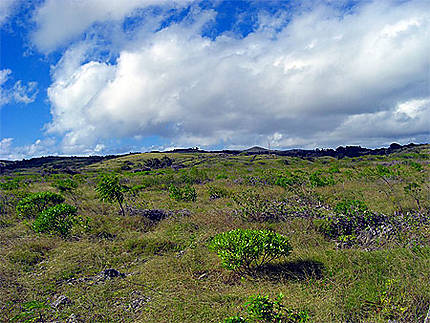 Paysage aride et typique de Rodrigues