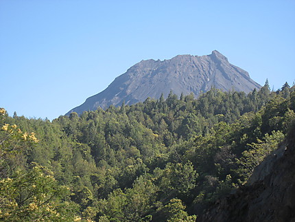Le Pico depuis la forêt de Monte Velha