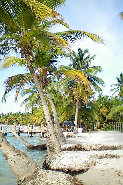 Playa bavaro République Dominicaine