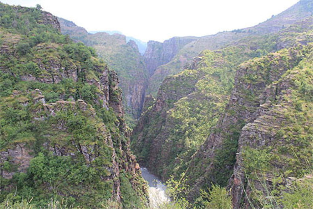 Gorges du Daluis