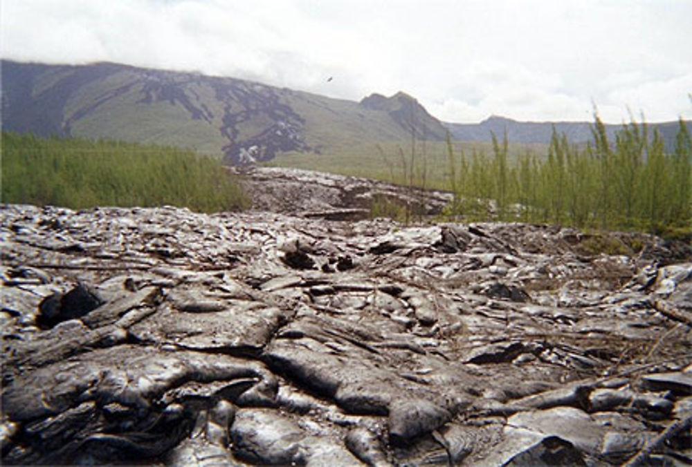 Ancienne coulée de lave