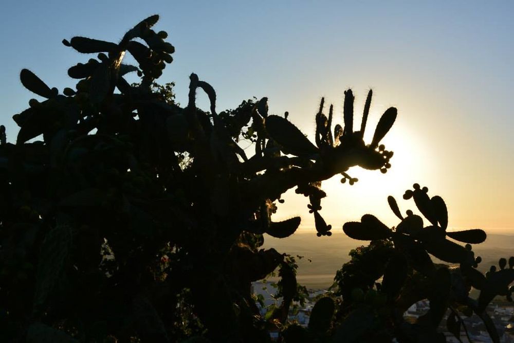 Medina-Sidonia