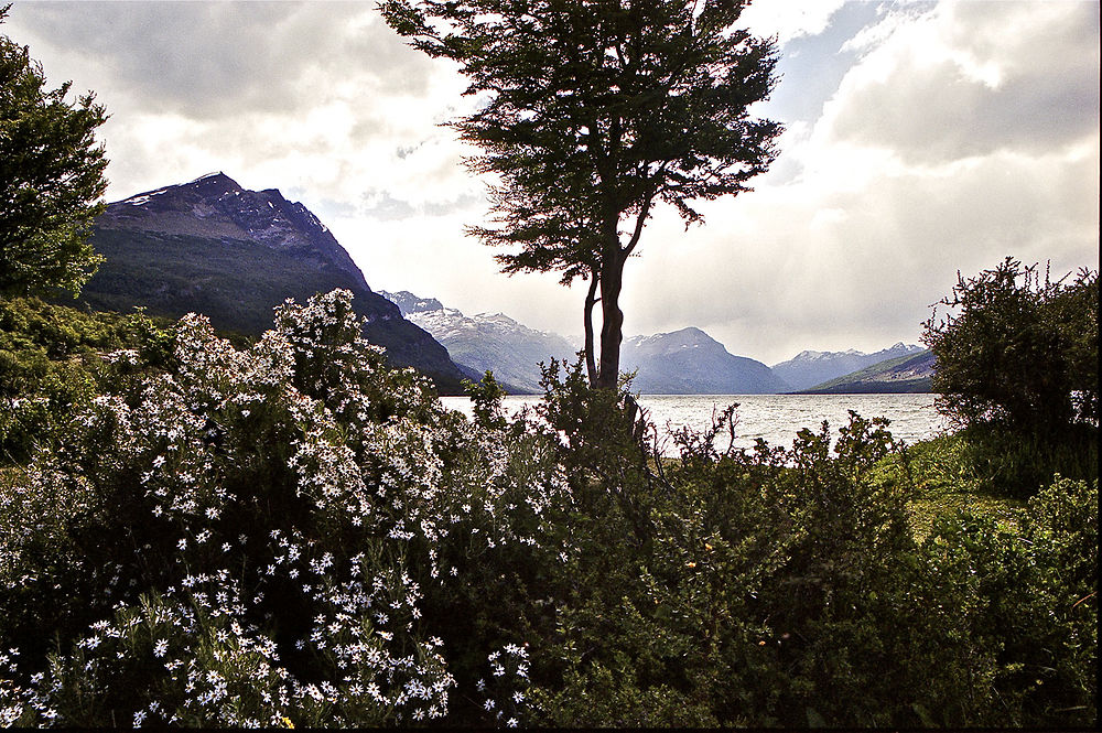 Bord du lac Roca