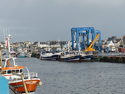 Le port du Guilvinec