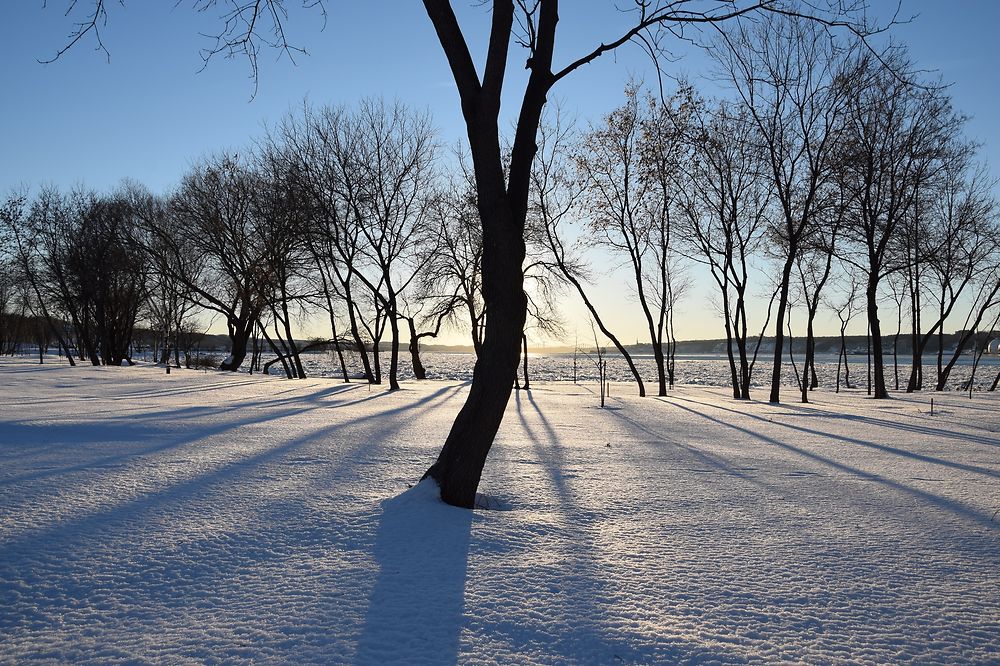 Contre jour face au Saint-laurent 