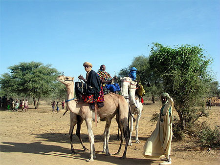 Les Touaregs Les Touaregs