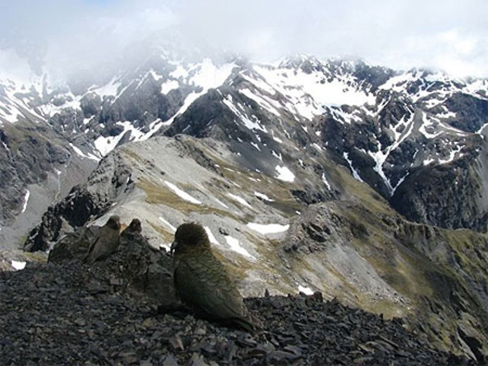 Avalanche Peak