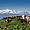 Alpage de Montbeliardes face au Mont Blanc